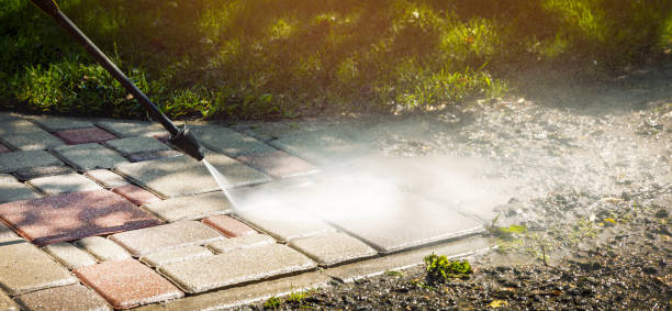 Best Animal Enclosure Cleaning  in Beckett, NJ